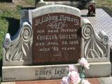 image of grave number 857936
